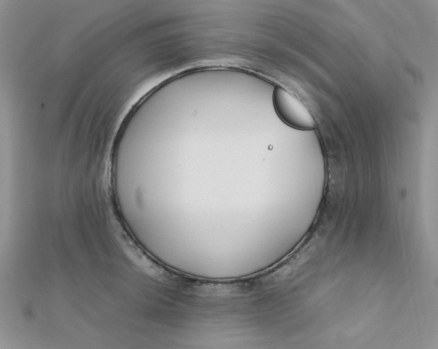 X0000112371044200909031927