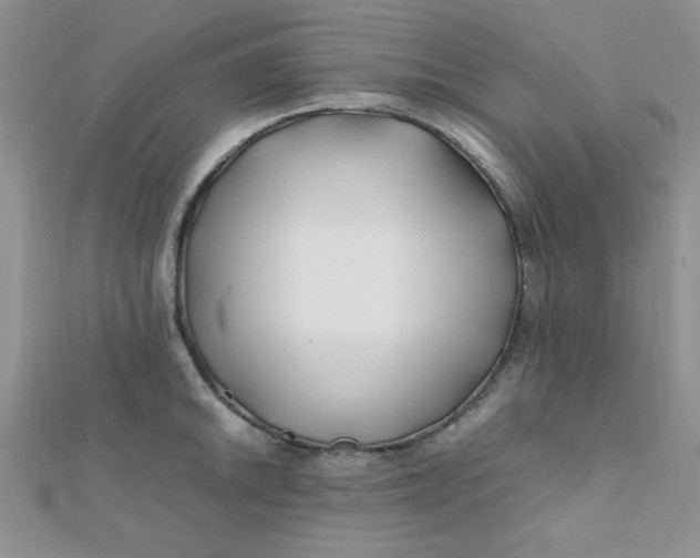 X0000112371046200909031927