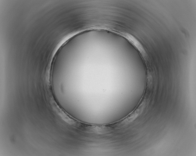 X0000112371052200909031927