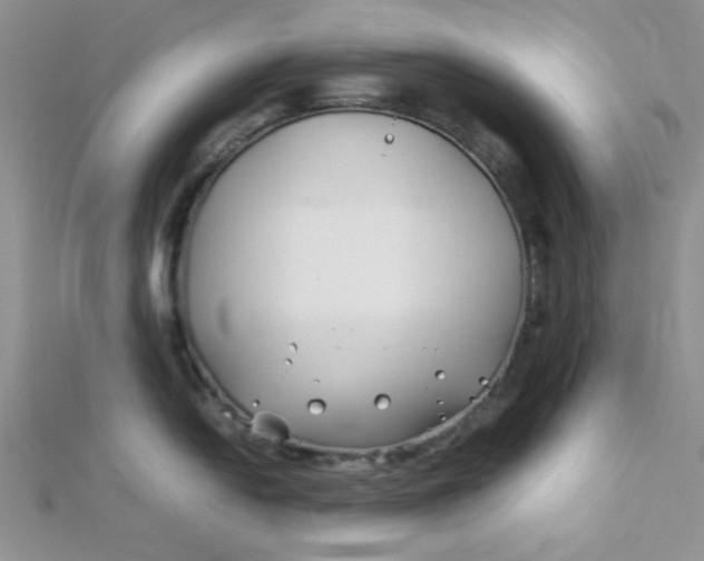 X0000112371054200909031927