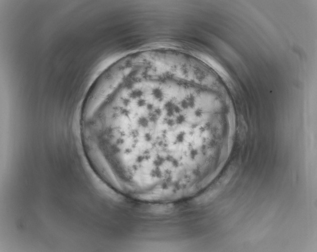 X0000112371055200909031927