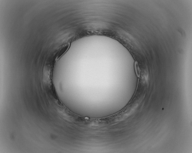 X0000112371060200909031927