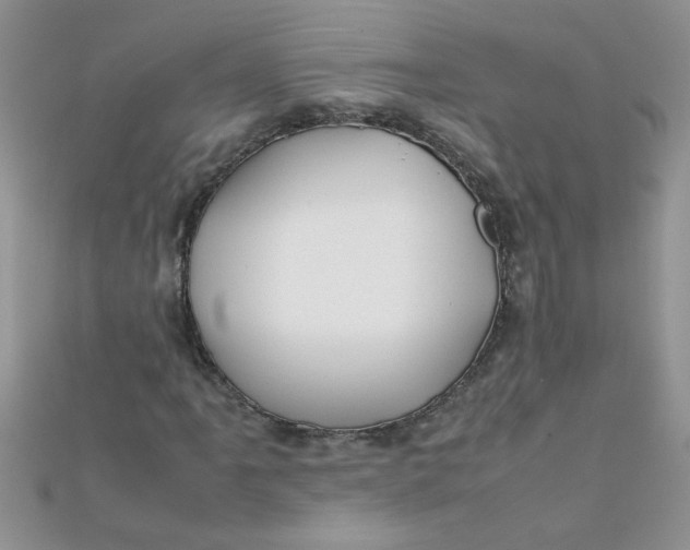 X0000112371061200909031926