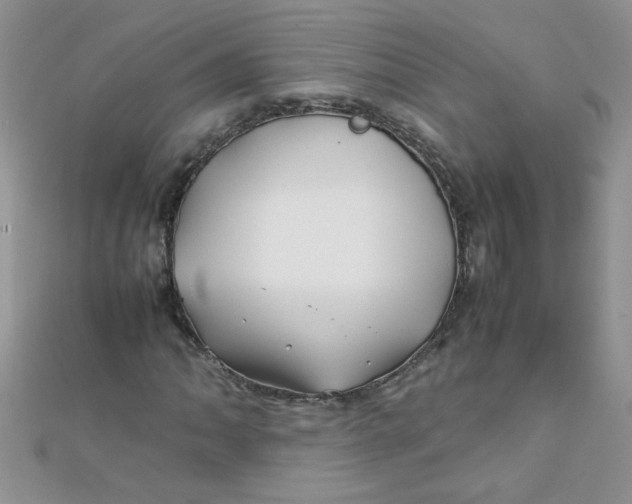 X0000112371062200909031926