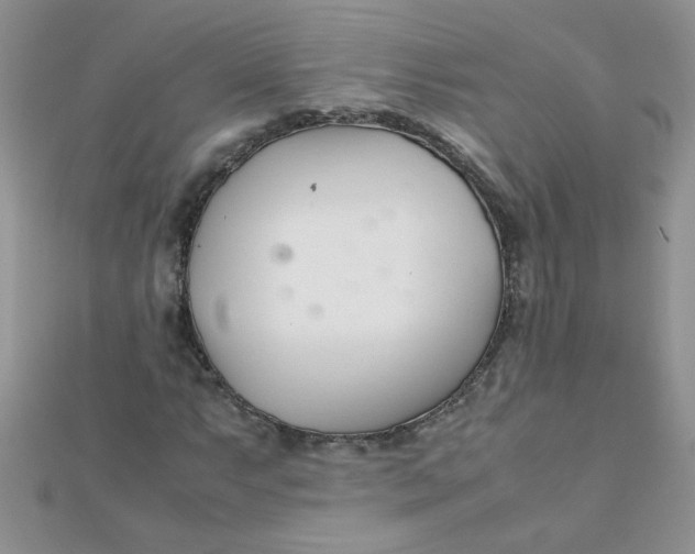 X0000112371063200909031926