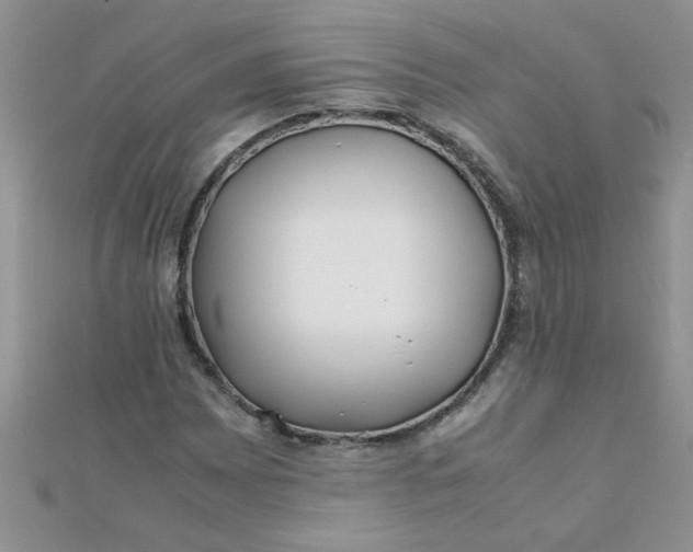 X0000112371065200909031926