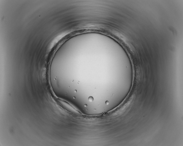 X0000112371066200909031926