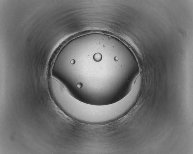 X0000112371068200909031926