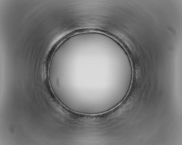 X0000112371069200909031926