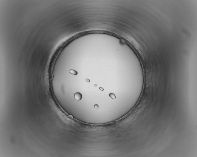 X0000112371072200909031926