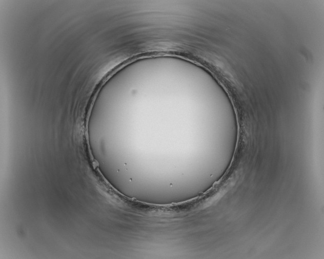 X0000112371073200909031926