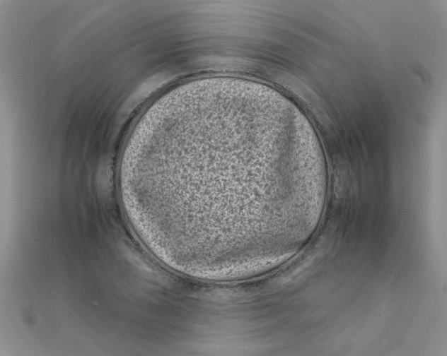 X0000112371074200909031926