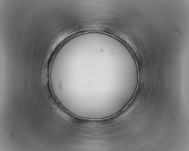 X0000112371075200909031926