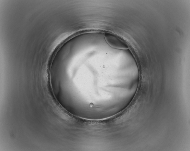 X0000112371077200909031926