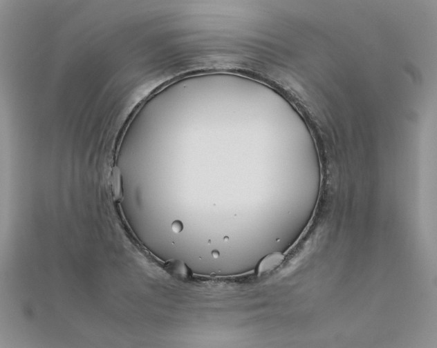 X0000112371081200909031926