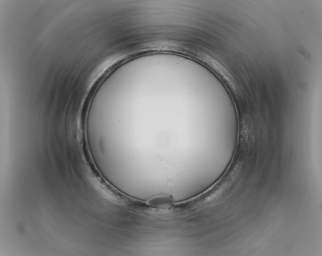 X0000112371082200909031926