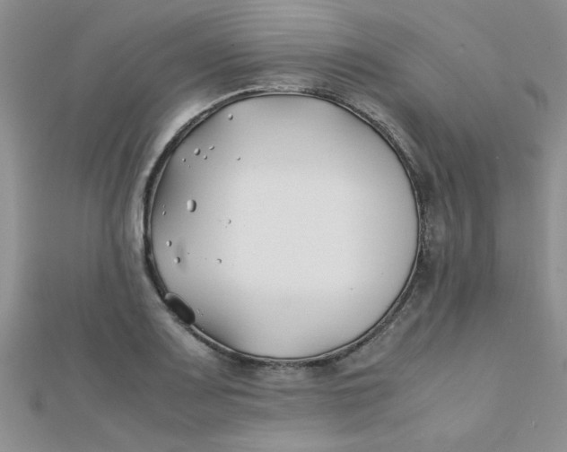 X0000112371083200909031926