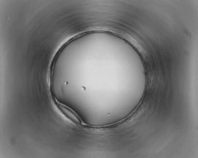 X0000112371084200909031926