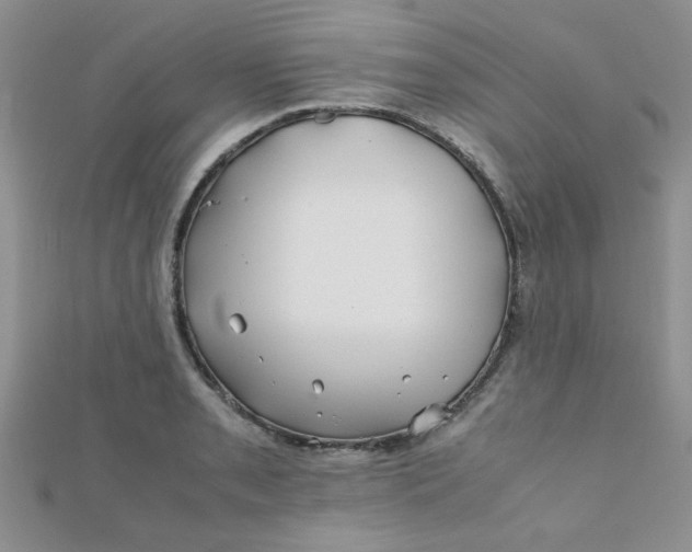 X0000112371085200909031926