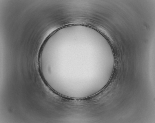 X0000112371087200909031926