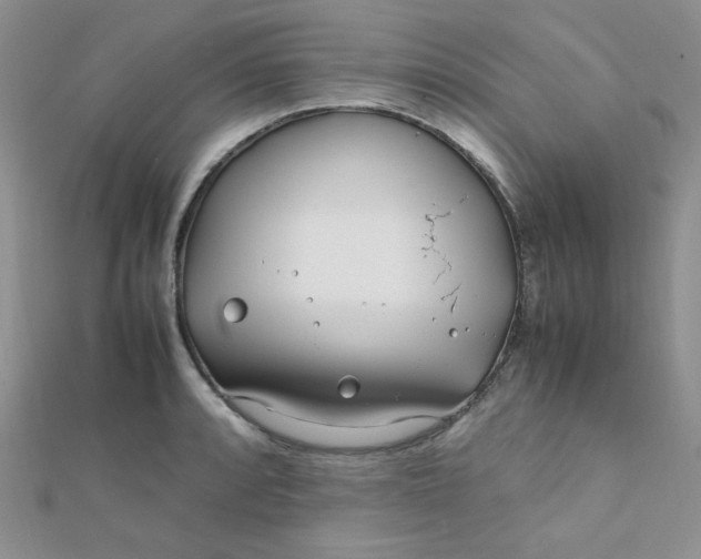 X0000112371088200909031926