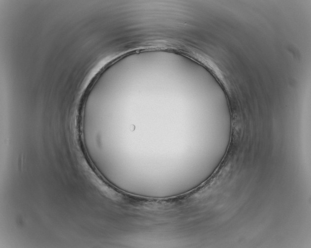 X0000112371091200909031926