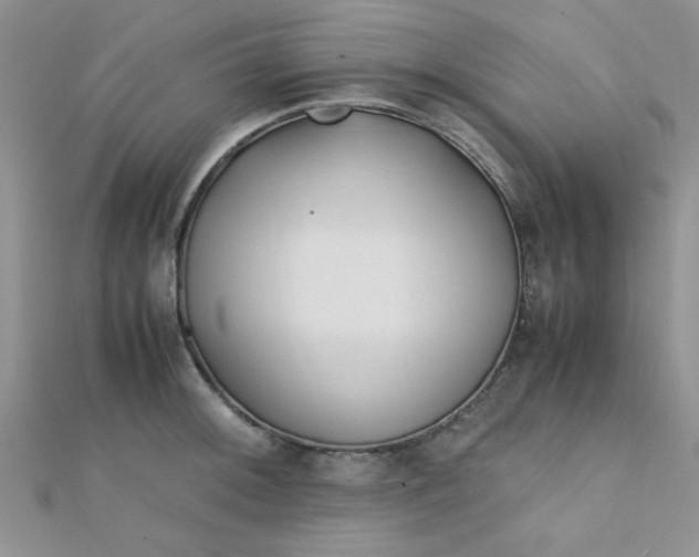 X0000112371092200909031926