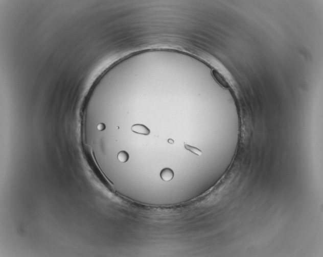 X0000112371096200909031926