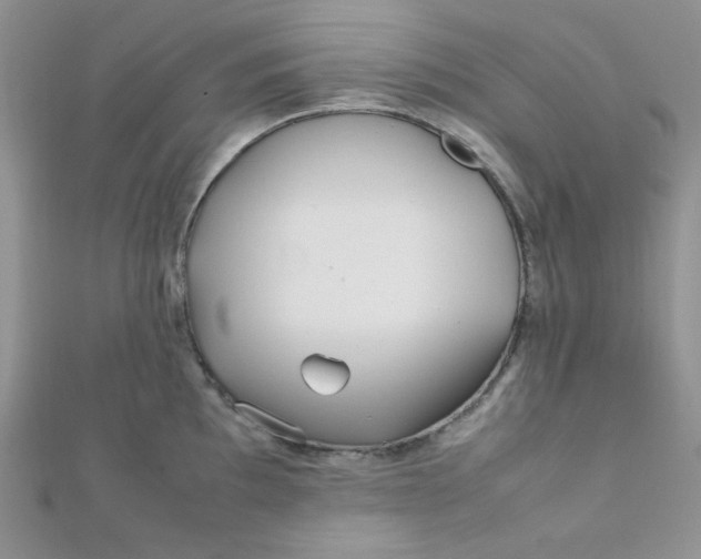 X0000112371097200909031926