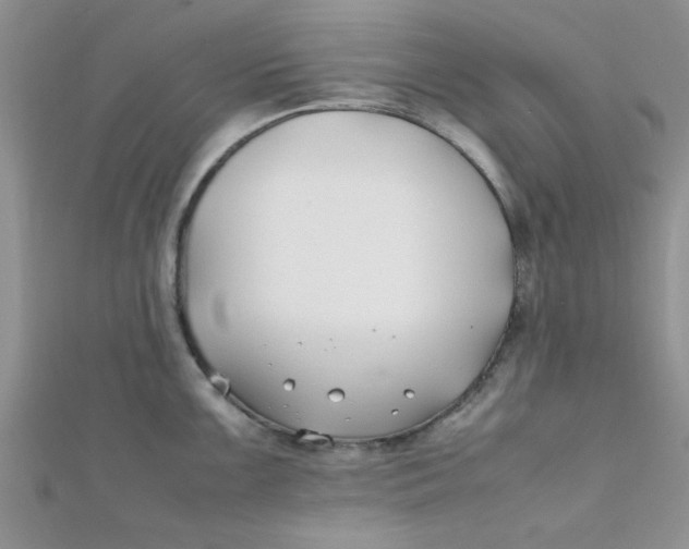 X0000112371099200909031926