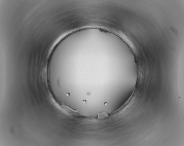 X0000112371100200909031926