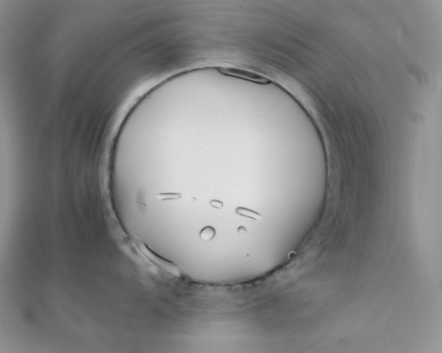 X0000112371104200909031926