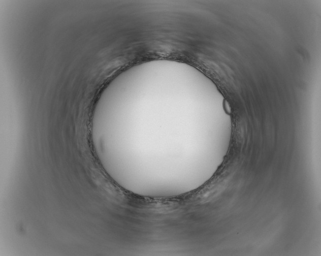 X0000112371105200909031925