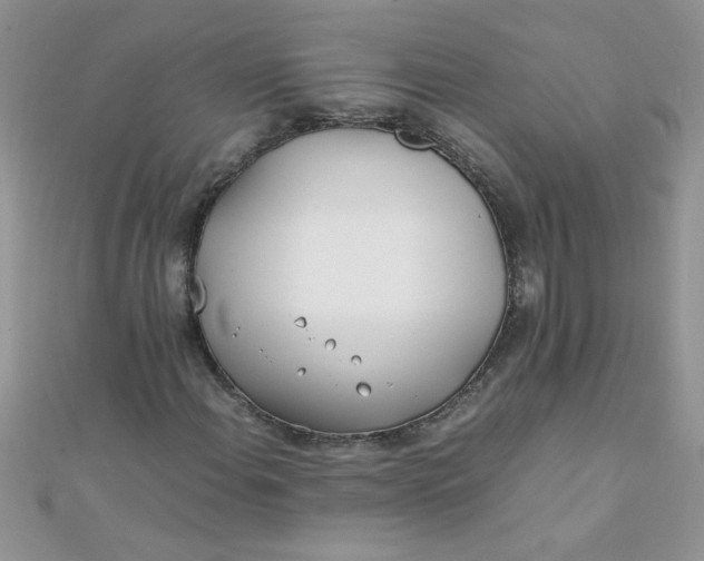 X0000112371108200909031925