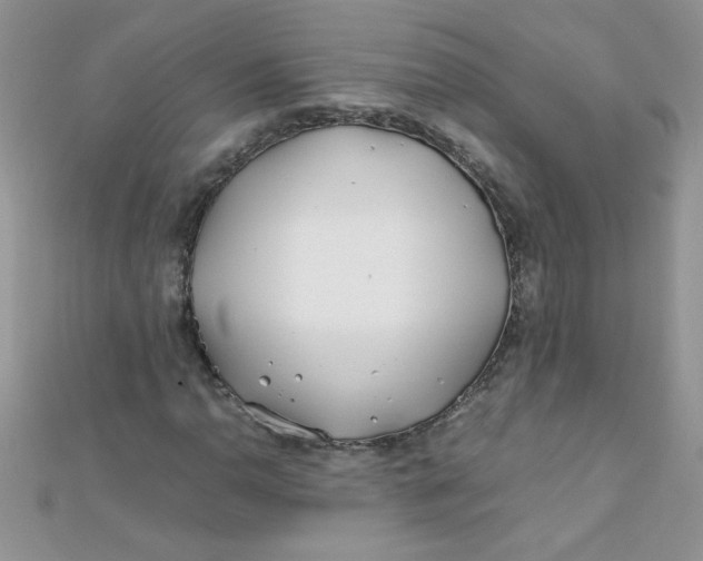 X0000112371110200909031925