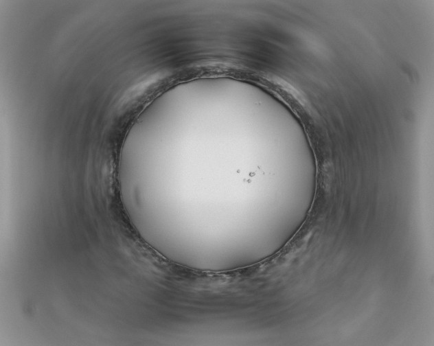 X0000112371111200909031925