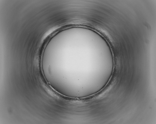 X0000112371114200909031925