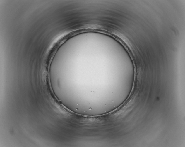 X0000112371115200909031925