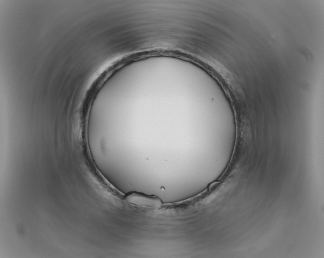 X0000112371118200909031926