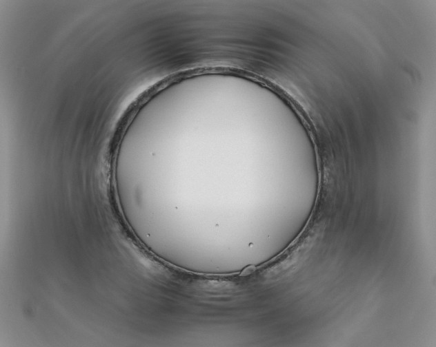 X0000112371119200909031926