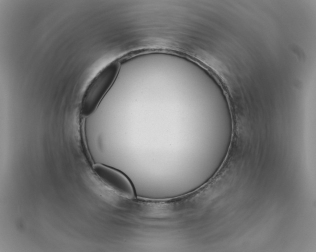 X0000112371120200909031926