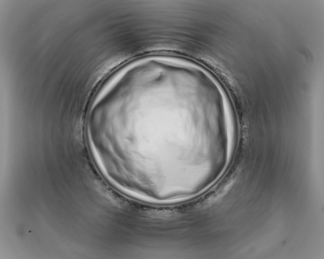 X0000112371121200909031926