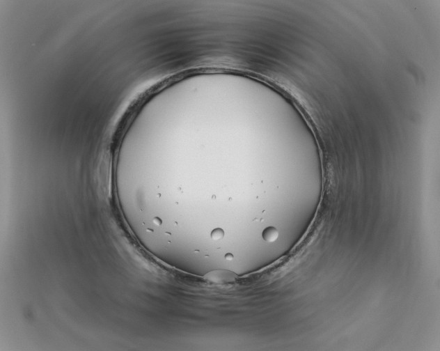 X0000112371123200909031926