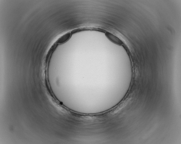 X0000112371124200909031926