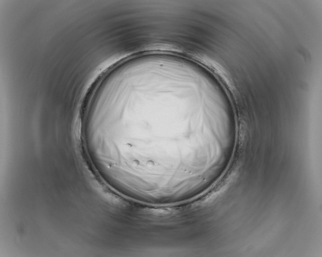 X0000112371125200909031926