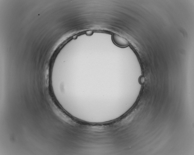 X0000112371126200909031926