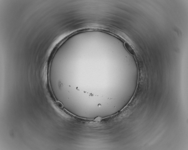 X0000112371128200909031926