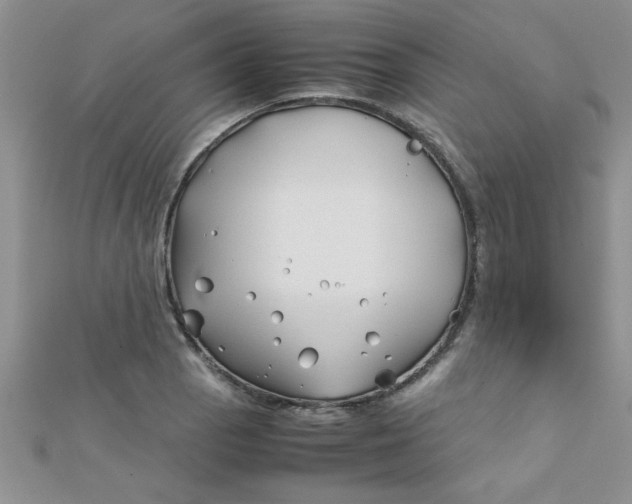 X0000112371129200909031926