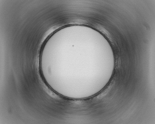 X0000112371130200909031926