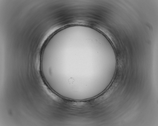 X0000112371131200909031926